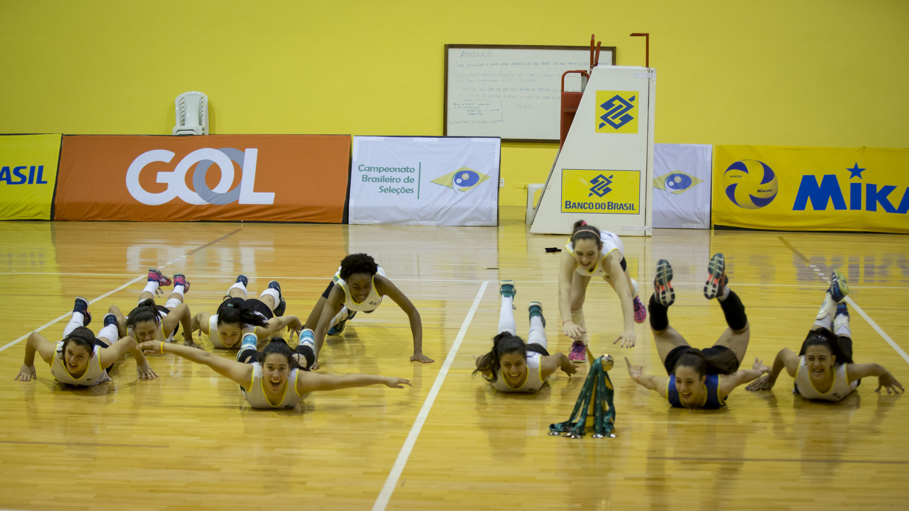 Seleção de Goiás fica com o título