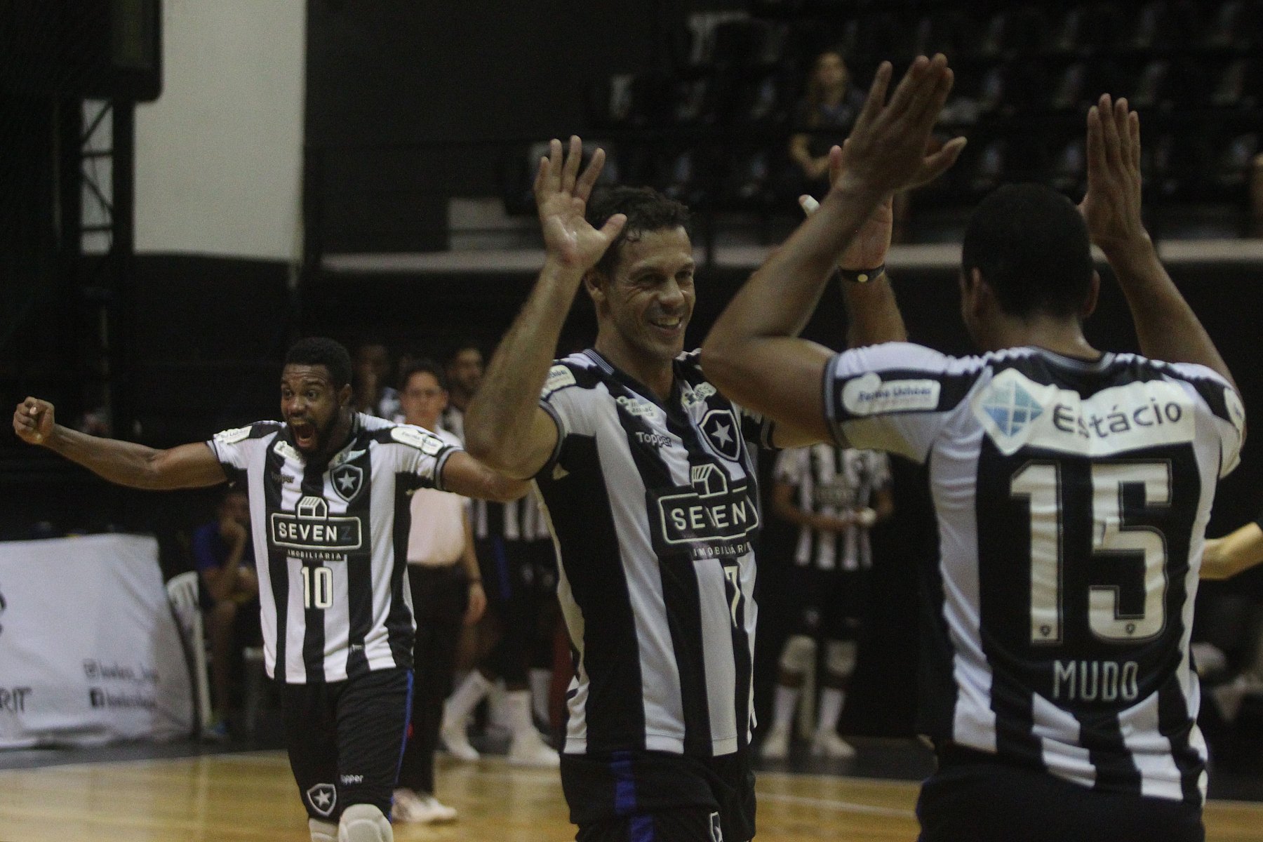 Botafogo vence mais uma, mantém invencibilidade e playoffs são definidos